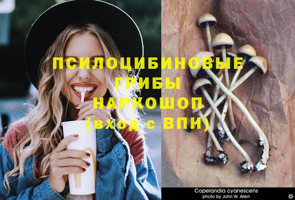 MESCALINE Абаза