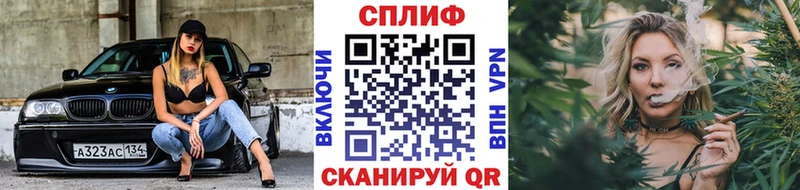 Шишки марихуана VHQ  продажа наркотиков  Каменногорск 